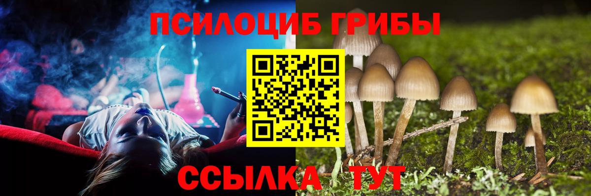 Соль-Илецк  Псилоцибиновые грибы Magic Shrooms  Вход с VPN  Псилоцибиновые грибы мицелий 